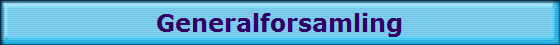 Generalforsamling